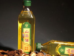 食用油選擇指南 從標簽到搭配，科學選油更健康